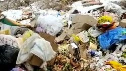 Бишкекчанин Рысбек жалуется на мусор и пищевые отходы в 6 мкр