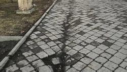 «Кто принимал работу?» Горожанин жалуется на состояние тротуара. Фото