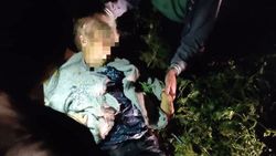 В селе Фрунзе Сокулукского района насмерть сбили женщину. Фото