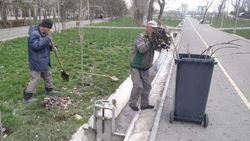 «Бишкекзеленхоз» устранил затоп в парке «Ынтымак». Видео и фото