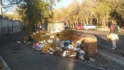Почему «Комтранском» не вывозит мусор на Жантошева? Фото горожанина