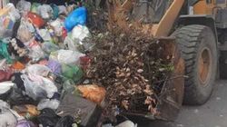 «Тазалык» вывозит мусор в 12 мкр. Фото