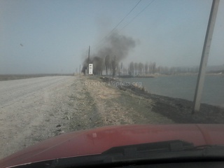 Пожар вдоль дороги на Иссык-Куле, - читатель <b><i>(фото,видео)</i></b>