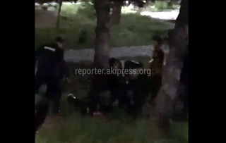 Мужчины в форме избивают гражданина в парке. Один применяет электрошокер