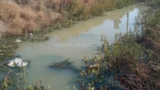 В Ак-Ордо образовался водоем из канализационных стоков. Жители подключились самовольно. Ответ «Бишкекводоканал»