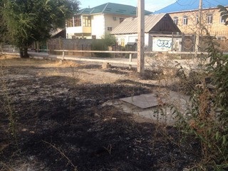 По проспекту Мира подожгли сухую траву вблизи газовой трубы, также поджег был возле реки Ала-Арча, - читатель <b><i>(фото)</i></b>