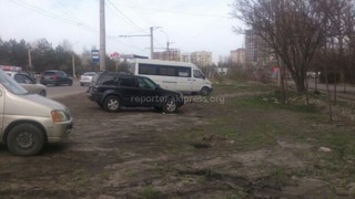 На участке ул.Токомбаева на зеленой зоне устроили парковку (фото)