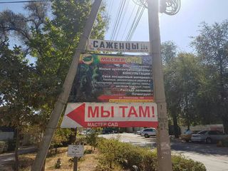 На Ташкентской-Коенкозова в Бишкеке на опоре столба установили рекламу, - читатель (фото)