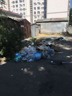 Возле дома №135 на ул.Абдрахманова не убирается мусор, - бишкекчанин (фото)