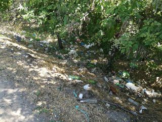 Вдоль объездной дороги на территории Чуйской области скопилось много мусора, - читатель