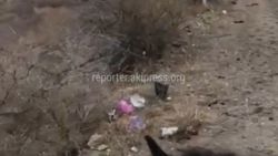 Дорога, ведущая к курорту Иссык-Ата, очищена от мусора, - Ысык-Атинская райгосадминистрация