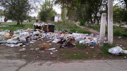 Скорее всего, данную территорию обслуживает частная компания, - мэрия о мусоре на ул.Гагарина
