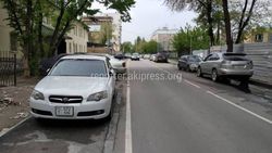 На улице Чокморова массовое нарушение правил парковки <i>(видео)</i>