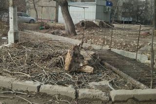 «Бишкектеплосеть» восстановит нарушенные им элементы в мкр Восток-5, - мэрия Бишкека
