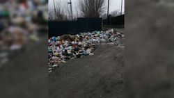 В селе Юсупова в Араванском районе не вывозят мусор, - жительница <i>(фото)</i>
