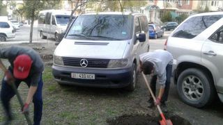 На Уметалиева-Сыдыкова машины припарковались на газоне, мешая активистам сажать деревья (фото)