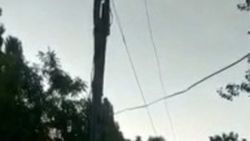 Житель села Жаны-Акман жалуется на состояние электропроводов. Видео