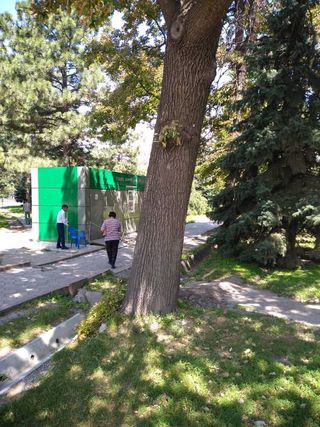 Сотрудники городской службы обязали убрать прибитую гвоздями к дереву табличку на ул.Раззакова