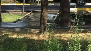 Арычная вода постоянно топит тротуар на Айтматова-Масалиева (фото, видео)