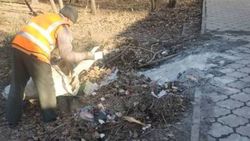 «Тазалык» убрал мусор на Боконбаева, который бросают рядом с мусорными баками. Фото