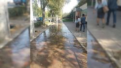 Тротуар улицы Байтик Баатыра затопило арычной водой