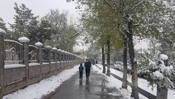 Первый снег в Бишкеке. Фото