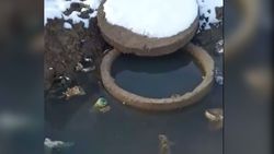 В жилмассиве Мурас-Ордо вода из колодца выливается на дорогу (видео)