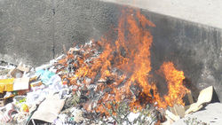 В центре Каракола, на территории ЦУМа каждый день жгут мусор (фото)