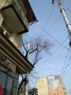 Горожанин просит убрать висящую сосульку на крыше дома на Киевской-Манаса (фото)