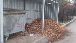 На Валиханова-Анкара собранные листья все еще не убрали