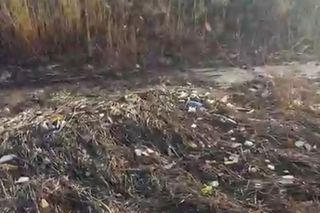 Бишкекчанин просит убрать мусор на некоторых участках мкр Тунгуч и жилмассива Рухий-Мурас (видео)