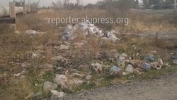 Горожанин просит убрать мусор на ул.Бар-Булак в Ак-Орго. Фото