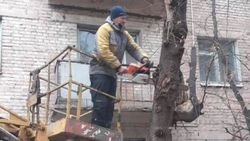 «Бишкекзеленхоз» убрал аварийную ветку на ул.Суюмбаева. Фото