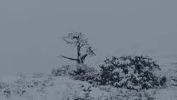 Сильные сели и снег в Ошской области. Видео, фото