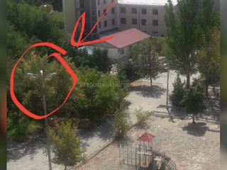 Бишкекчанин просит отремонтировать освещение на детской площадке в 7 мкр