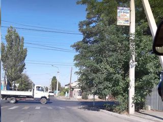 На Фрунзе-Тойгомбаева ветки деревьев закрывают дорожный знак (фото)