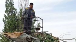 «Бишкекзеленхоз» убрал дерево, упавшее на машину на Алматинке. Фото
