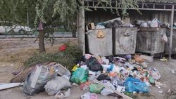 Бишкекчанин жалуется на мусор на Алматинке. Фото
