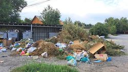 Улица Нарвская утопает в мусоре. Фото Юлии