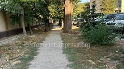Ремонт тротуара по ул.Чокморова в 2022 году не предусмотрен, - «Бишкекасфальтсервис»