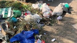 На Чуйкова мусор растаскивают собаки. Фото