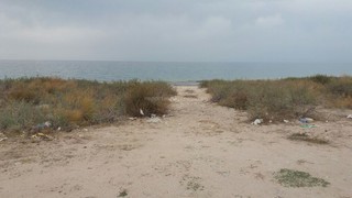 Читатель жалуется, что на пляже села Ак-Терек на Иссык-Куле много мусора <i>(фото)</i>