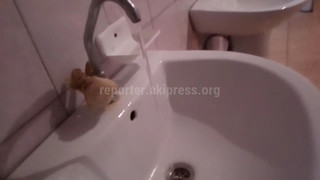 В общественном туалете на бульваре Эркиндик из крана все время льется чистая вода, необходимо отремонтировать его, - читатель (видео)
