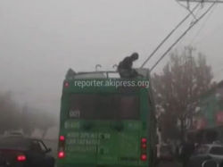 Видео — Парень решил проехать зайцем и залез на крышу троллейбуса