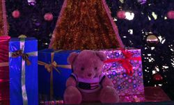 Девушка украсила елку на площади Ала-Тоо своим плюшевым медведем, к утру его украли