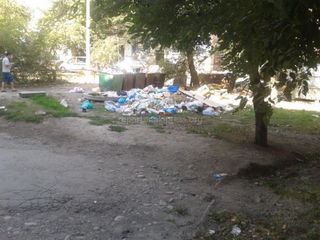 Во дворе дома на ул.Бейшеналиевой не вывозится мусор