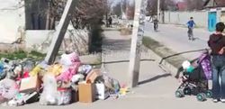 В Бишкеке на Сельсоветская и Орозова больше недели не вывозят мусор (видео)