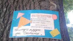 В Бишкеке в районе улиц Коммунаров, Азовская, Кудрука к деревьям прибили объявления гвоздями (фото)