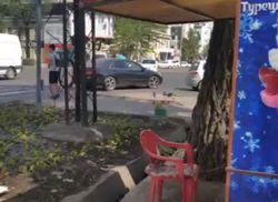 На Чуй–Гоголя торговцы мороженного топчут газон с цветами (видео)