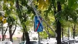На Байтик Баатыра - Суеркулова над тротуаром на ветках дерева висит оголенный провод (видео)